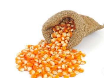 Food Crops