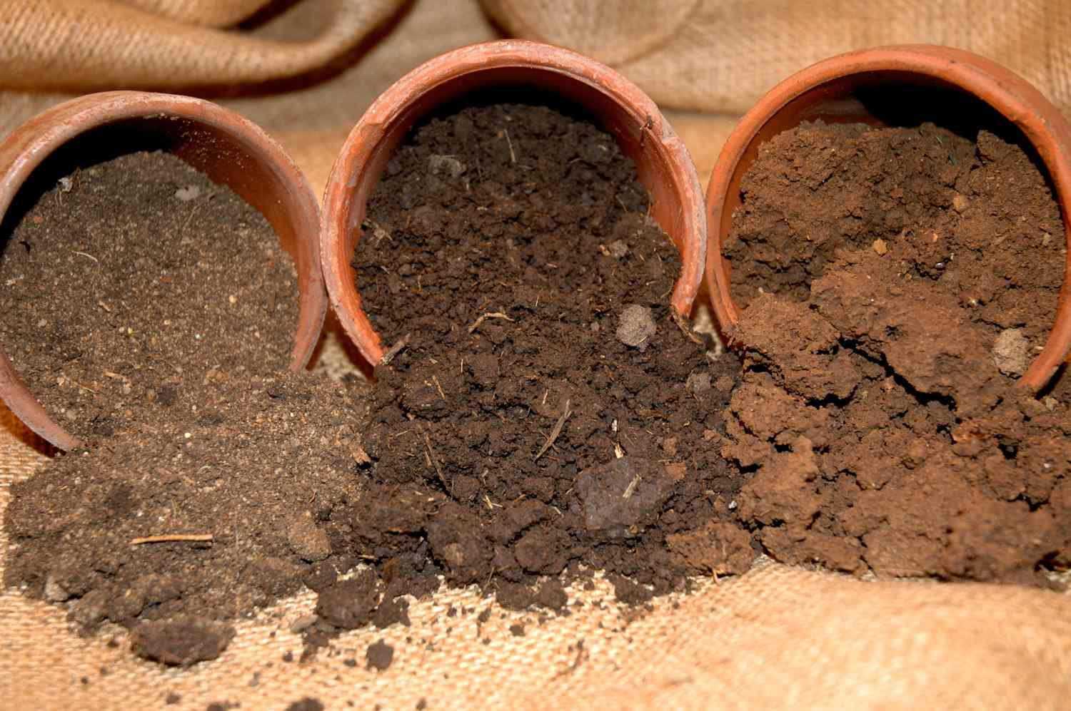 Loam Soil