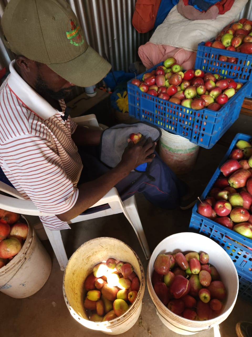 FRESH ORGANIC APPLES