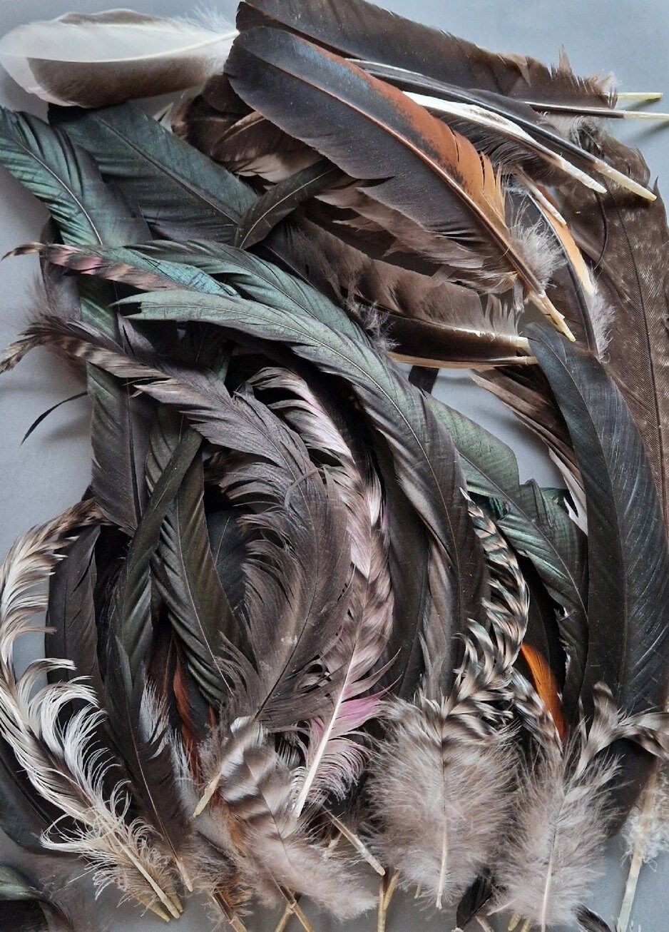 Chicken feathers