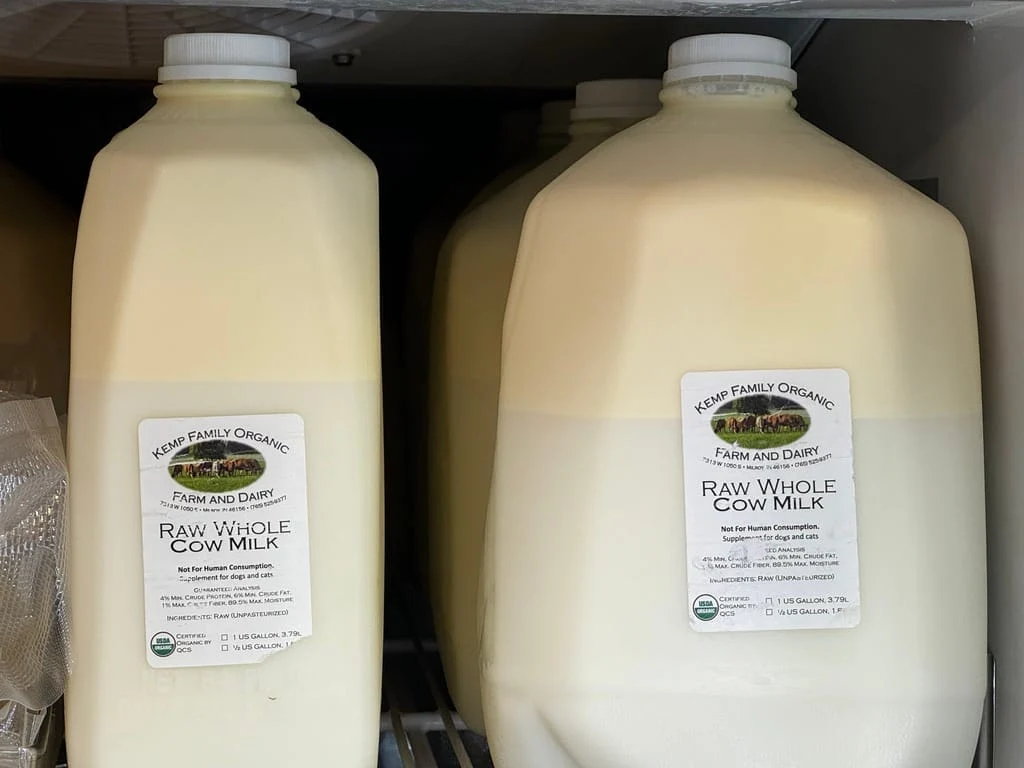 Cow  milk