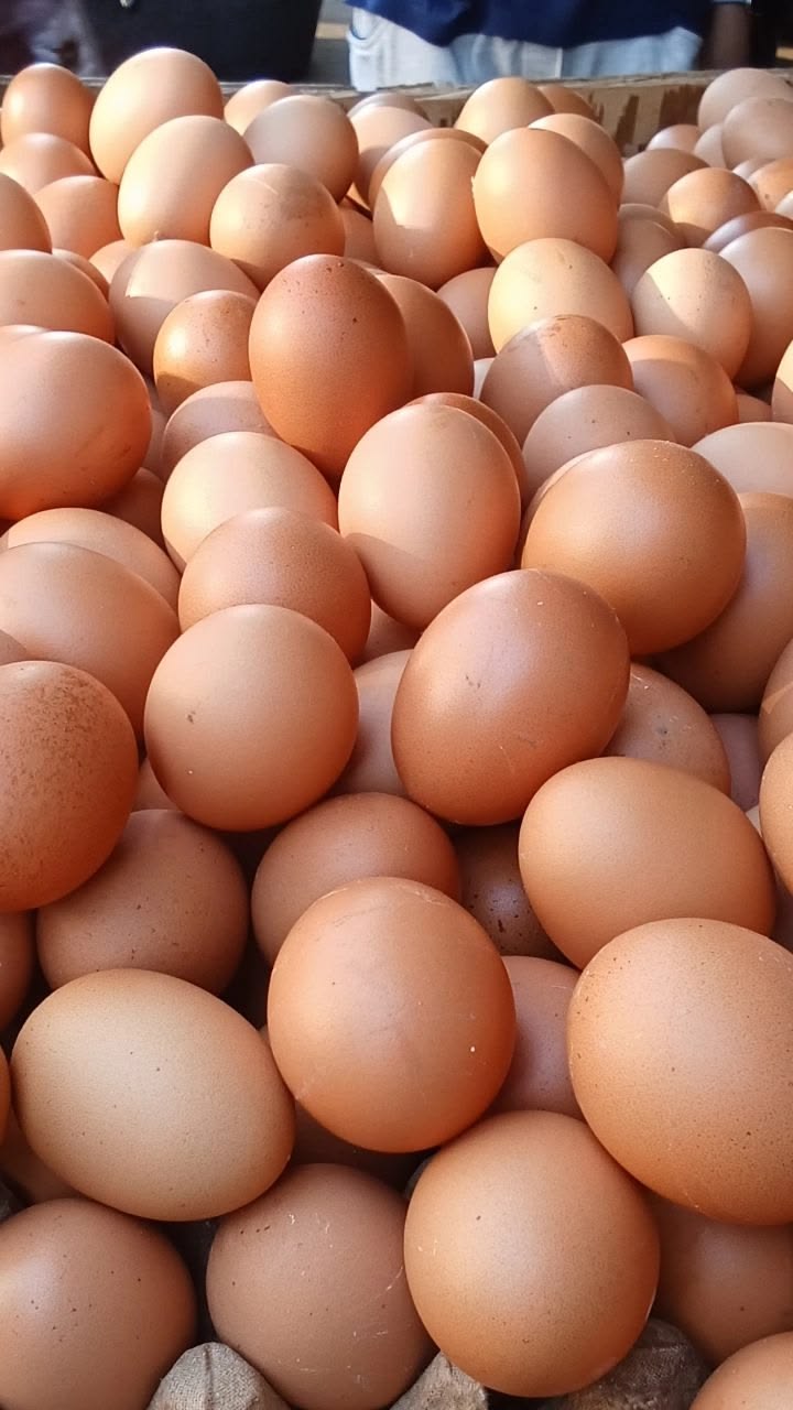 Fresh Agricultural Products